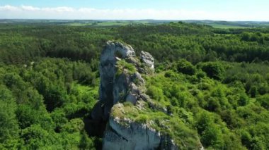 Polonya 'daki Jura Krakowsko-Czestochowska' da kireç taşı. Okiennik Wielki kayası