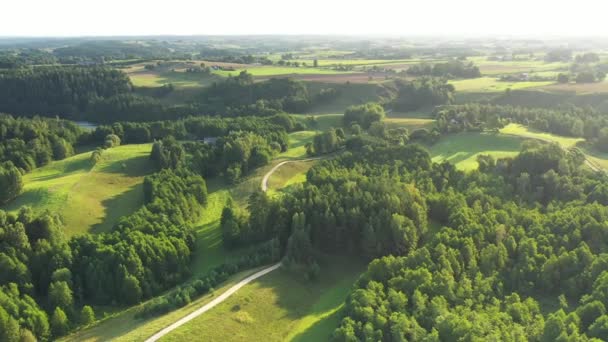 Krásný Letní Den Nad Poli Záběry Vzdušných Dronů — Stock video