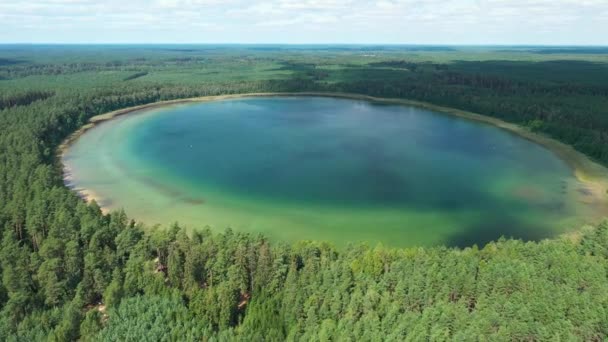 Vista Aérea Del Lago Plaskie Polonia — Vídeo de stock