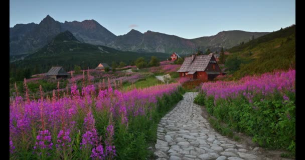 Gyönyörű Nyári Reggel Hegyekben Hala Gasienicowa Lengyelországban Tátrában — Stock videók