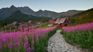 Güzel bir yaz sabahı dağlarda - Polonya 'da Hala Gasienicowa - Tatras