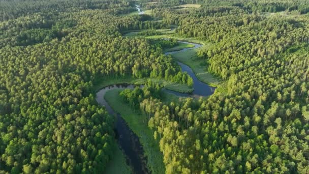 Drone Skott Naturliga Floden Sommaren — Stockvideo