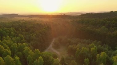 Ormanın üzerinde güzel bir sonbahar sabahının hava aracı görüntüsü