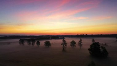 Tarlaların üzerindeki sisli sabahın hava görüntüsü.