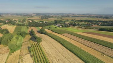 Tarlaların üzerinde güzel bir yaz günü. Hava aracı görüntüleri.