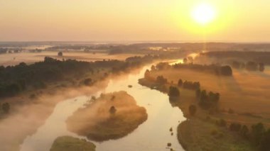 Ormandaki güzel doğal nehrin hava aracı görüntüsü.
