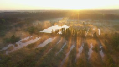 Ormandaki güzel doğal nehrin hava aracı görüntüsü.