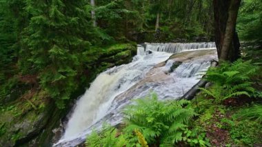 Dağlarda şelale - Kamienczyka şelalesi - Szklarska Poreba - Polonya