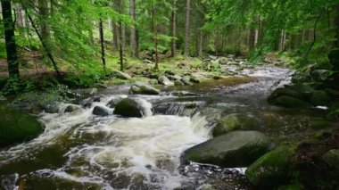 Dağlarda şelale - Kamienczyka şelalesi - Szklarska Poreba - Polonya