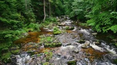 Dağlarda şelale - Kamienczyka şelalesi - Szklarska Poreba - Polonya