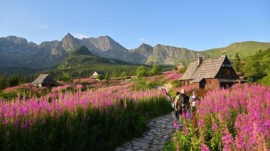 Polonya 'daki Hala Gasienicowa' da Tatras dağları yakınlarında yürüyen insanlar