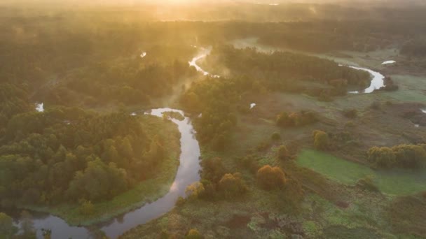 Vista Aérea Drones Del Hermoso Río Natural Bosque — Vídeos de Stock