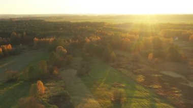 Ormanın üzerinde güzel bir sonbahar sabahının hava aracı görüntüsü