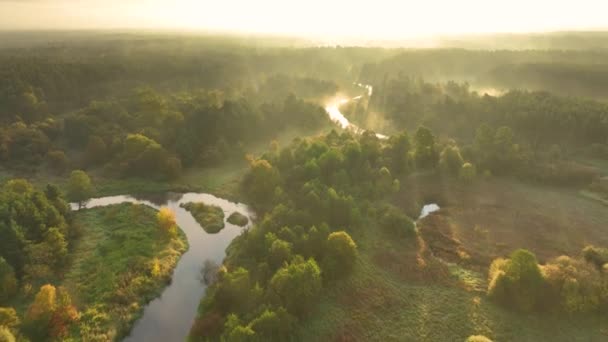 Vista Aérea Drones Del Hermoso Río Natural Bosque — Vídeos de Stock