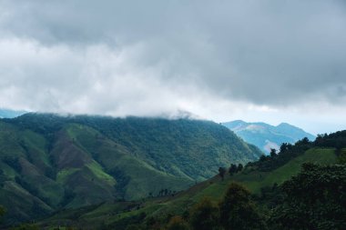 Yeşil yağmur ormanlarının, dağların ve bulutlu gökyüzündeki tepelerin manzarası