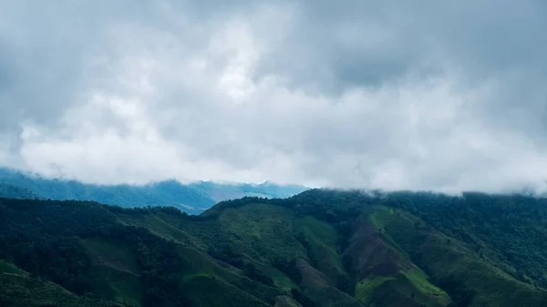 Landschaft Bild Von Grün Regenwald Berge Und Hügel Nebligen Tag — Stockfoto