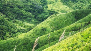 Güzel bir dağ manzarasının manzara manzarası