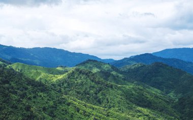 Güzel bir dağ manzarasının manzara manzarası