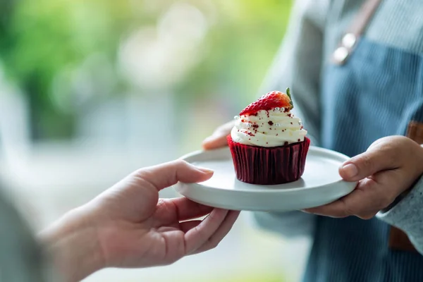 Waitress Holding Serving Piece Red Velvet Cupcake Customer — стоковое фото