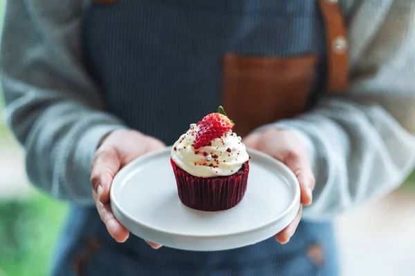 Waitress Holding Serving Piece Red Velvet Cupcake — стоковое фото