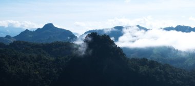 Sisli yeşillik manzarası yağmur ormanları dağlar ve tepeler 