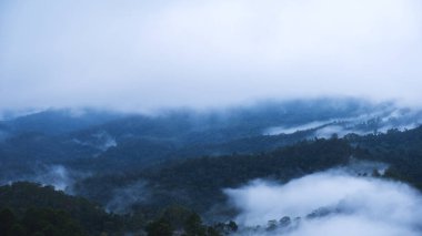 Sisli yeşillik manzarası yağmur ormanları dağlar ve tepeler 