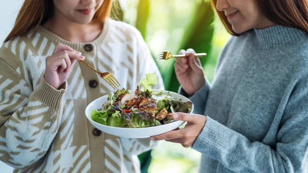 Duas Mulheres Segurando Comendo Salada Frango Juntas — Fotografia de Stock