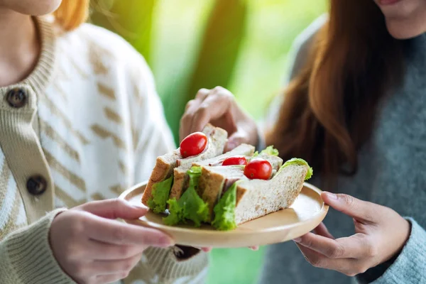 Duas Mulheres Segurando Comendo Sanduíche Trigo Integral Placa Madeira Juntas — Fotografia de Stock