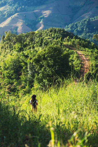 Dişi bir gezginin yeşillik dağlarında yürüyüşünün arka görüntüsü. 
