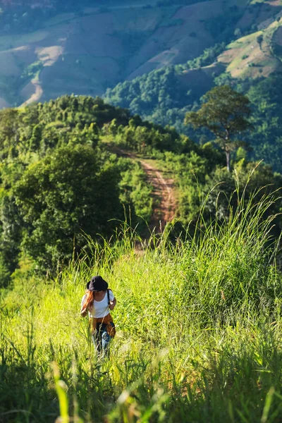 Yeşil dağlarda yürüyüş yapan bir kadın gezgin. 