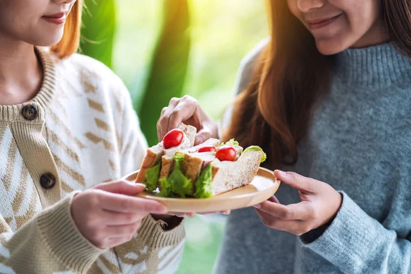 İki kadın, tahtadan tabakta kepekli sandviçi birlikte tutuyor ve yiyorlar.