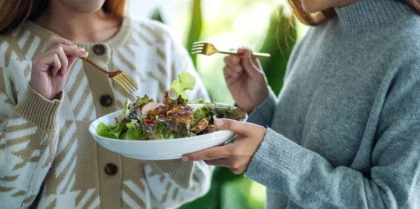 Duas Mulheres Segurando Comendo Salada Frango Juntas — Fotografia de Stock