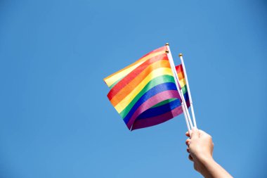 Mavi gökyüzü arkaplanlı LGBT gurur bayrakları tutan ve sallayan insanlar