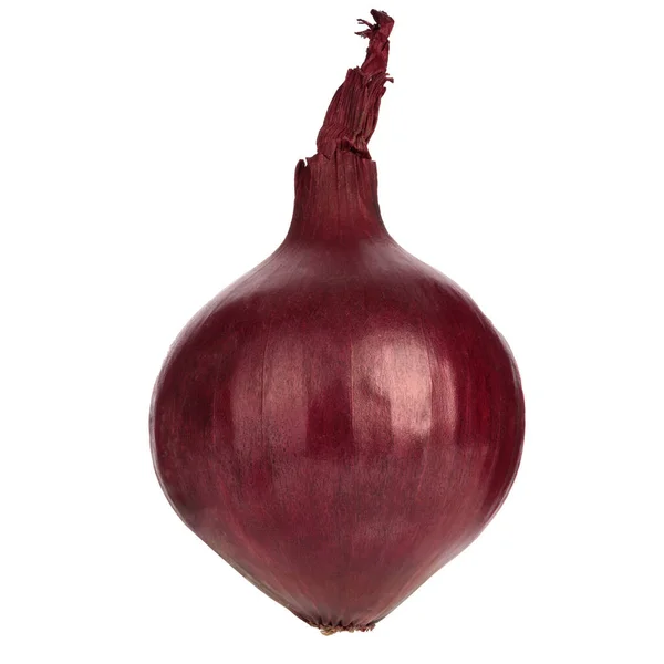 Red Onion Isolated White Background Close — Stock Photo, Image