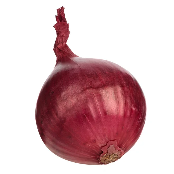 Red Onion Isolated White Background Close — Stock Photo, Image