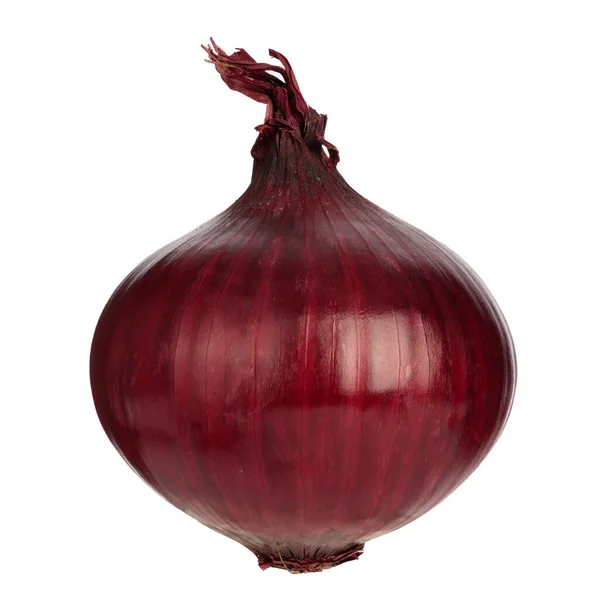 Red Onion Isolated White Background Close Clipping — Stock Photo, Image