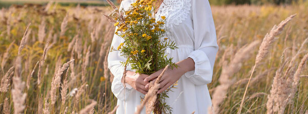 A woman holds a bouquet of wild flowers. A woman collecting flowers / herbs in nature. Copy space, banner.