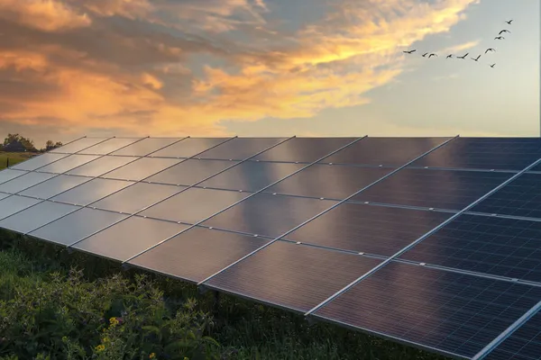 Painéis Solares Fotovoltaicos Como Fonte Energia Renovável Painel Solar Pôr — Fotografia de Stock