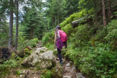 Dağlarda pembe sırt çantasıyla kadın yürüyüşü. Arka görünüm .