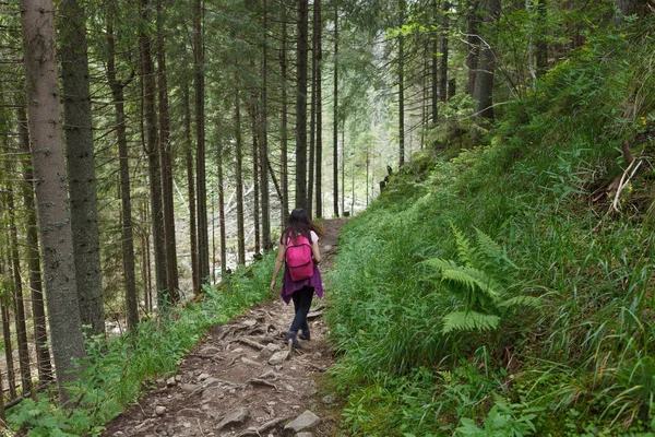 Wędrując Przez Las Kobieta Idzie Ścieżkami Tylne Ujęcie — Zdjęcie stockowe