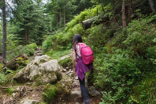 Forest Turystyka Szlak Kobieta Spacery Wędrowanie Aktywnych Ludzi Styl Życia — Zdjęcie stockowe