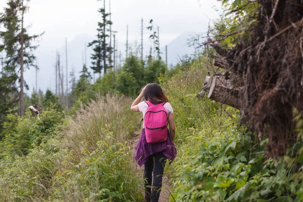 Kobieta Podróżuje Różowym Plecakiem Górskim Szlaku Strzał Tyłu — Zdjęcie stockowe