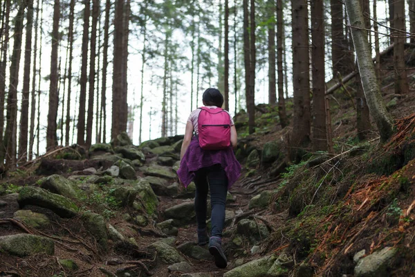 Forest Turystyka Szlak Kobieta Spacery Wędrowanie Aktywnych Ludzi Styl Życia — Zdjęcie stockowe