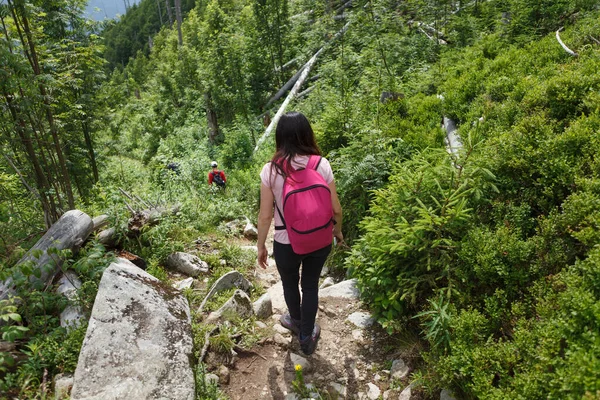 Hutan Hiking Trail Wanita Berjalan Wandering Hidup Orang Aktif Ransel — Stok Foto