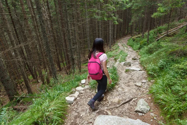 Kobieta Plecakiem Wędrująca Ścieżką Górską Lesie Strzał Tyłu — Zdjęcie stockowe