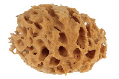 Doğal Sünger beyaza izole edilmiş, kırpma yolu.