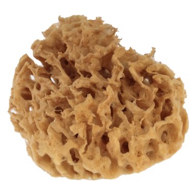 Banyo süngeri beyaz arka planda izole edilmiş. Kesme yolu