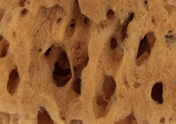Similar texture of beige natural sponge. Sponge texture background, close-up. Natural sponges, macro.