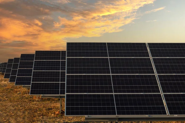 Pannele Solar Com Energia Total Fazenda Geração Energia Fotovoltaica Pôr — Fotografia de Stock