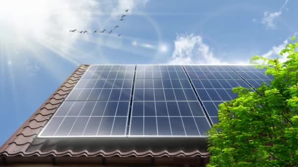 Концепція Чистої Енергії Сонячна Панель Крупним Планом Даху Зелене Дерево — стокове відео